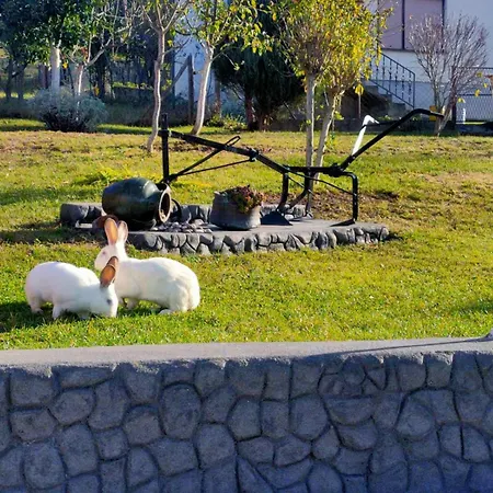 度假居 Oaza Mira Mozgovo