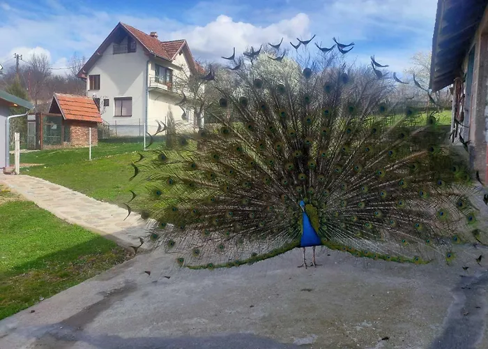 Oaza Mira Dom wakacyjny