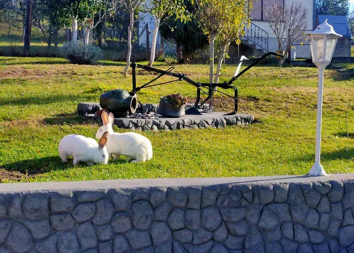 度假居 Oaza Mira Mozgovo