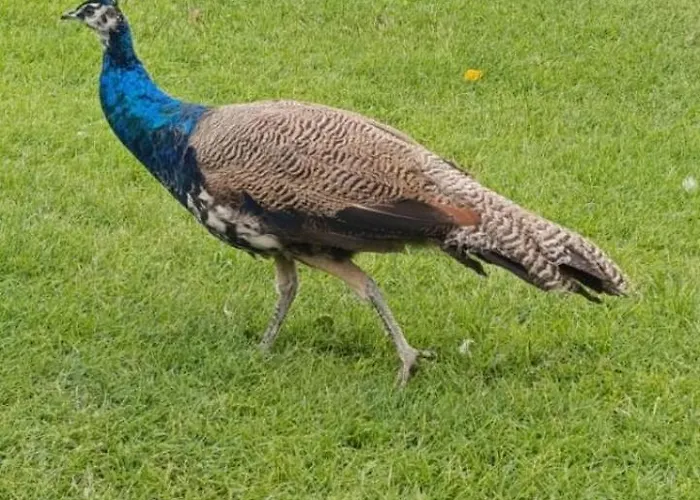 Dom wakacyjny Oaza Mira *