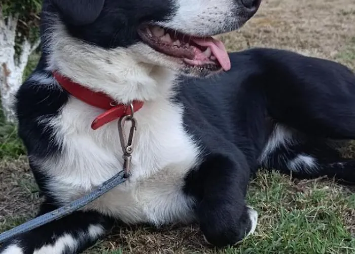 Oaza Mira Dom wakacyjny Mozgovo