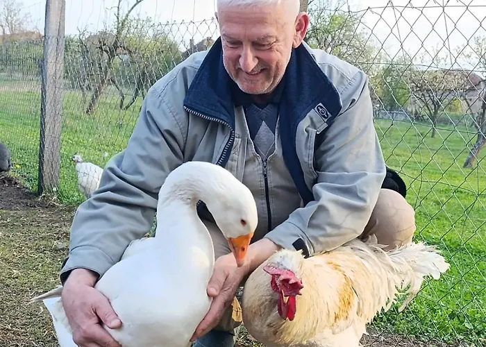 Oaza Mira Dom wakacyjny