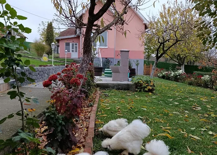 Dom wakacyjny Oaza Mira